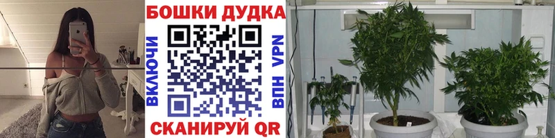 Марихуана THC 21%  MEGA рабочий сайт  Морозовск 